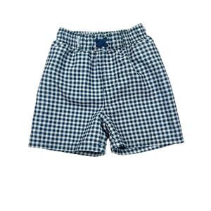 RuggedButts Blue Gingham Swim Shorts